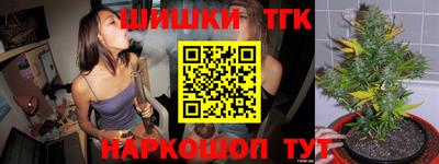 индика Ярцево