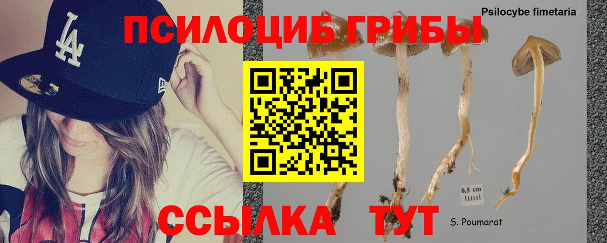 Псилоцибиновые грибы Psilocybine cubensis  Псилоцибиновые грибы Cubensis  Вход с VPN  Балашиха 