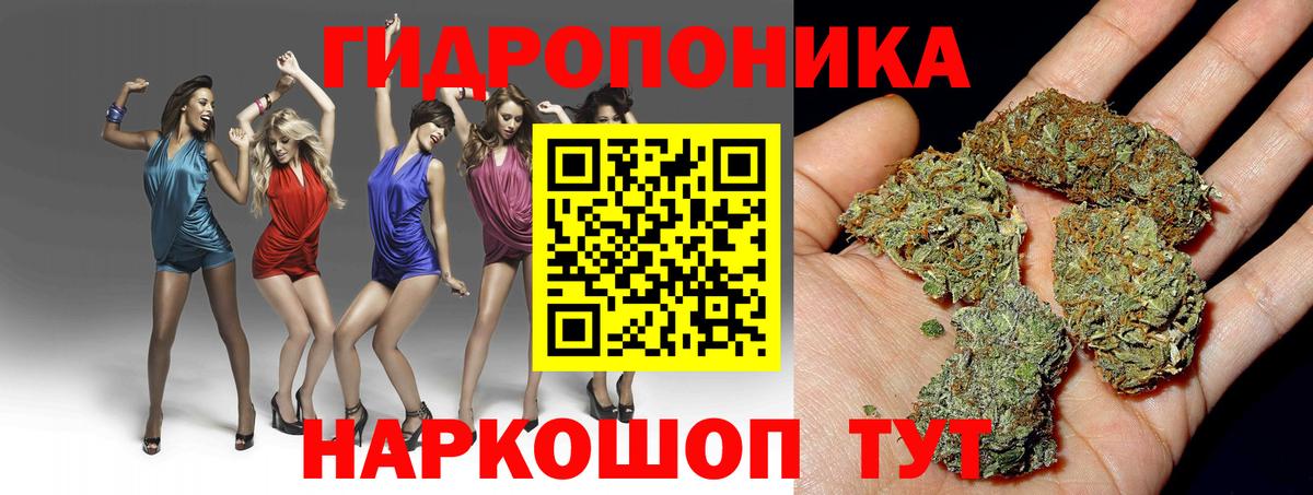 Марихуана план Балашиха